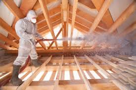 Professional Insulation Services in Brownsville, KY